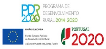 Projetos de execução