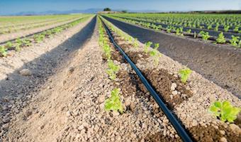 Inscrições-Rega 2023