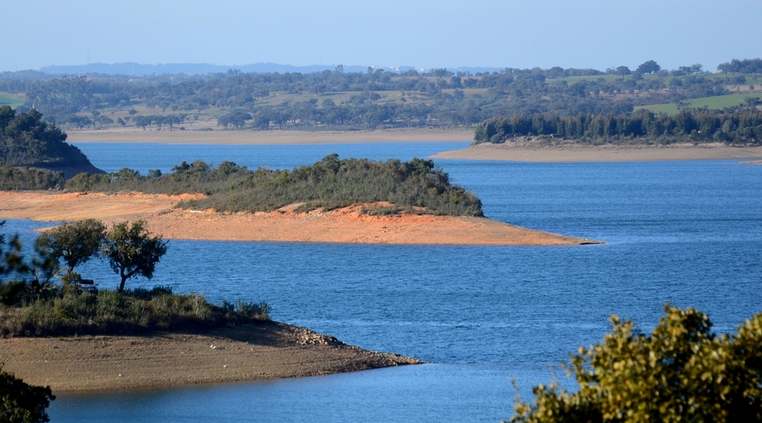 Contributo do Regadio